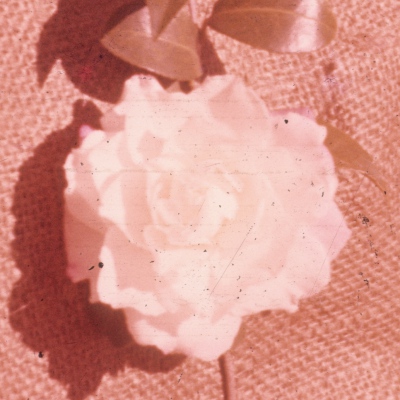Izma